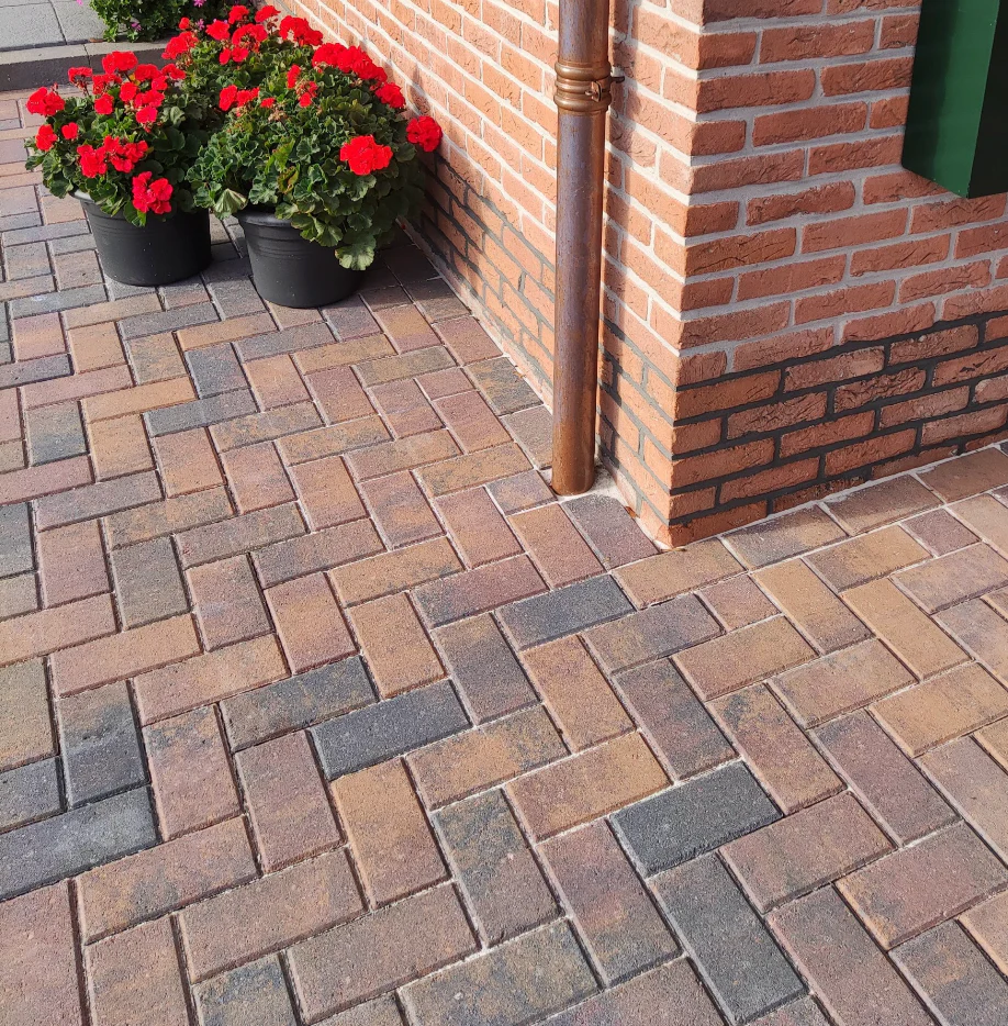 Miniatuur 2