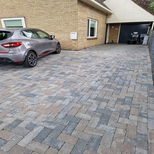 Miniatuur 2