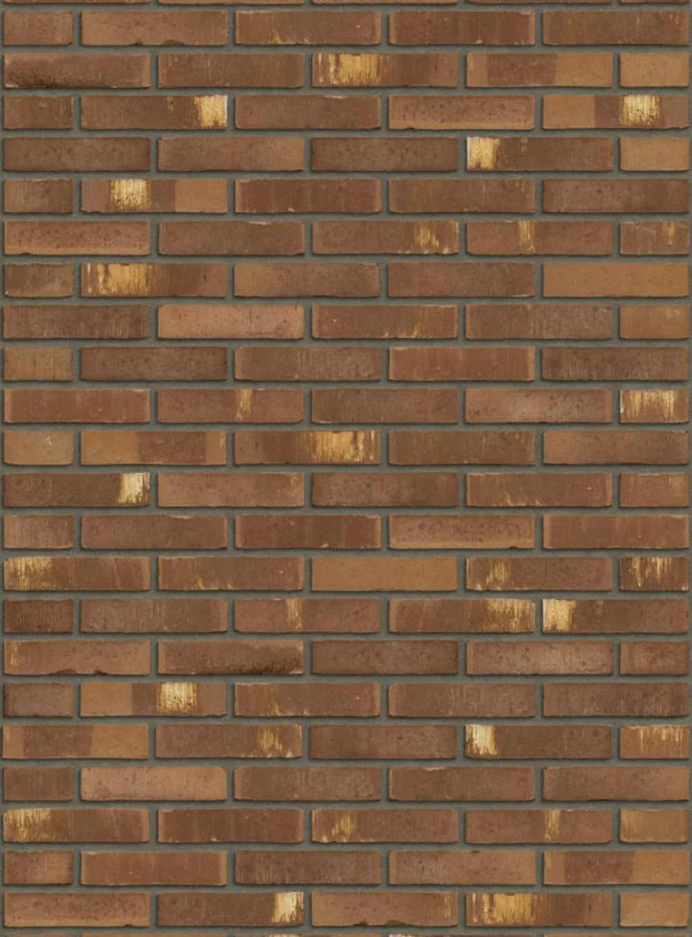 Productafbeelding 4